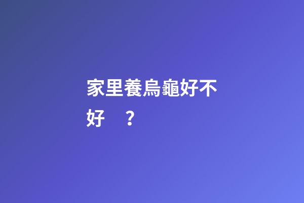 家里養烏龜好不好？